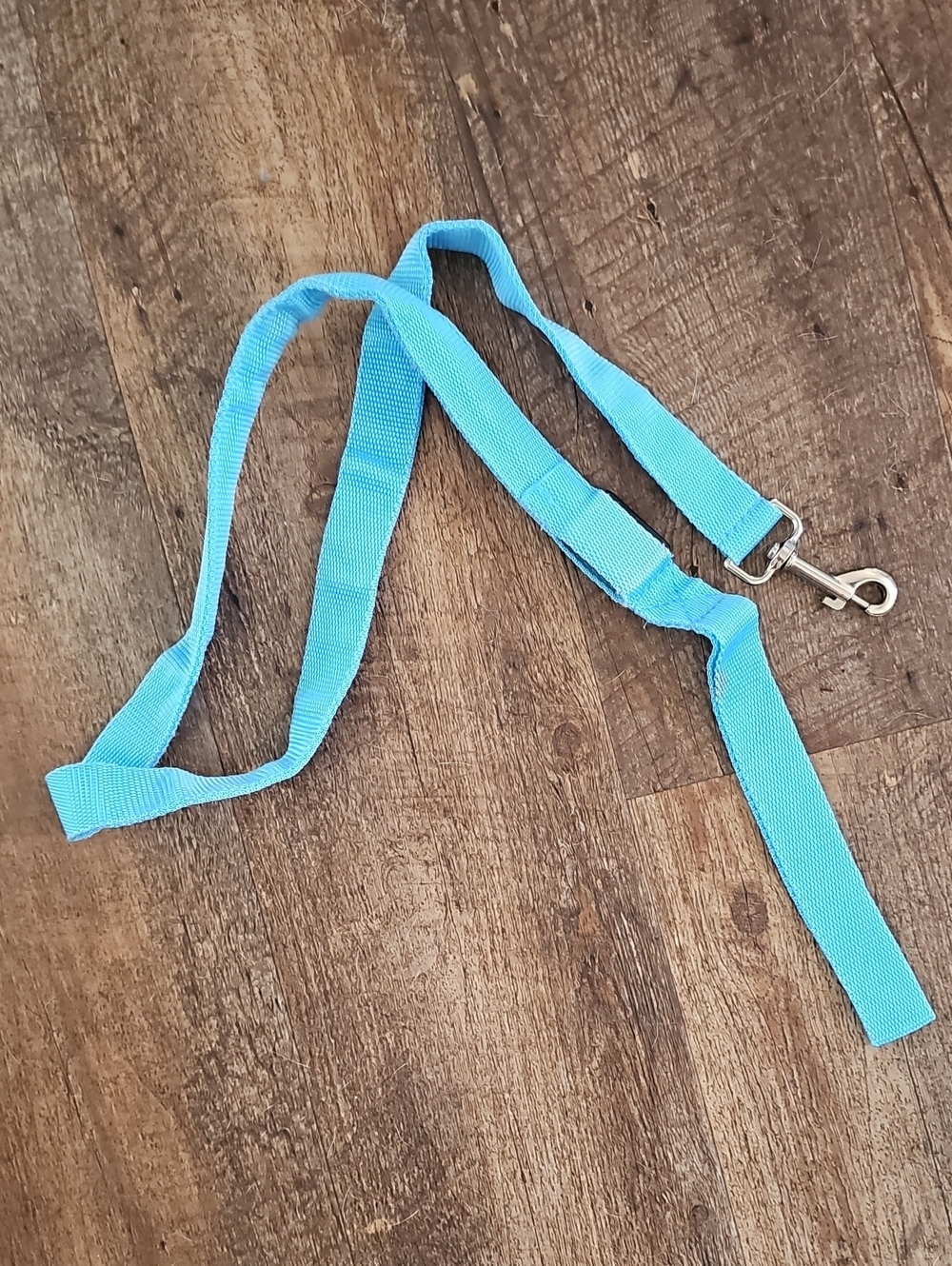 Light Up Dog Leash